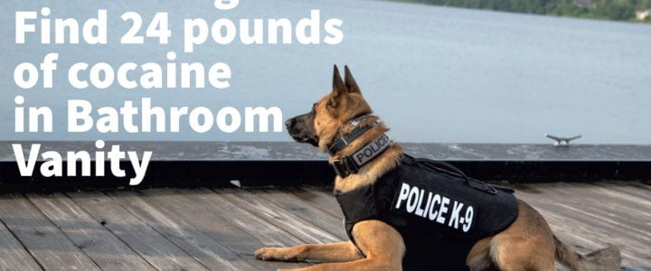 Police Dog Find 24 pounds of cocaine in Bathroom Vanity