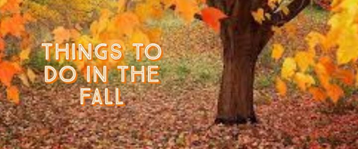 Things to do in the fall