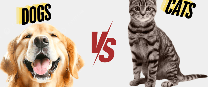 Cats v.s. Dogs–What’s so great about each?